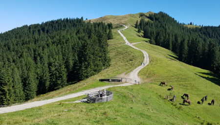 Bio-Seminarhaus SEINZ in den Ammergauer Alpen